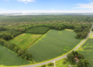 59 Acres of Farmland & Timberland in Rural NC – Great Hunting
