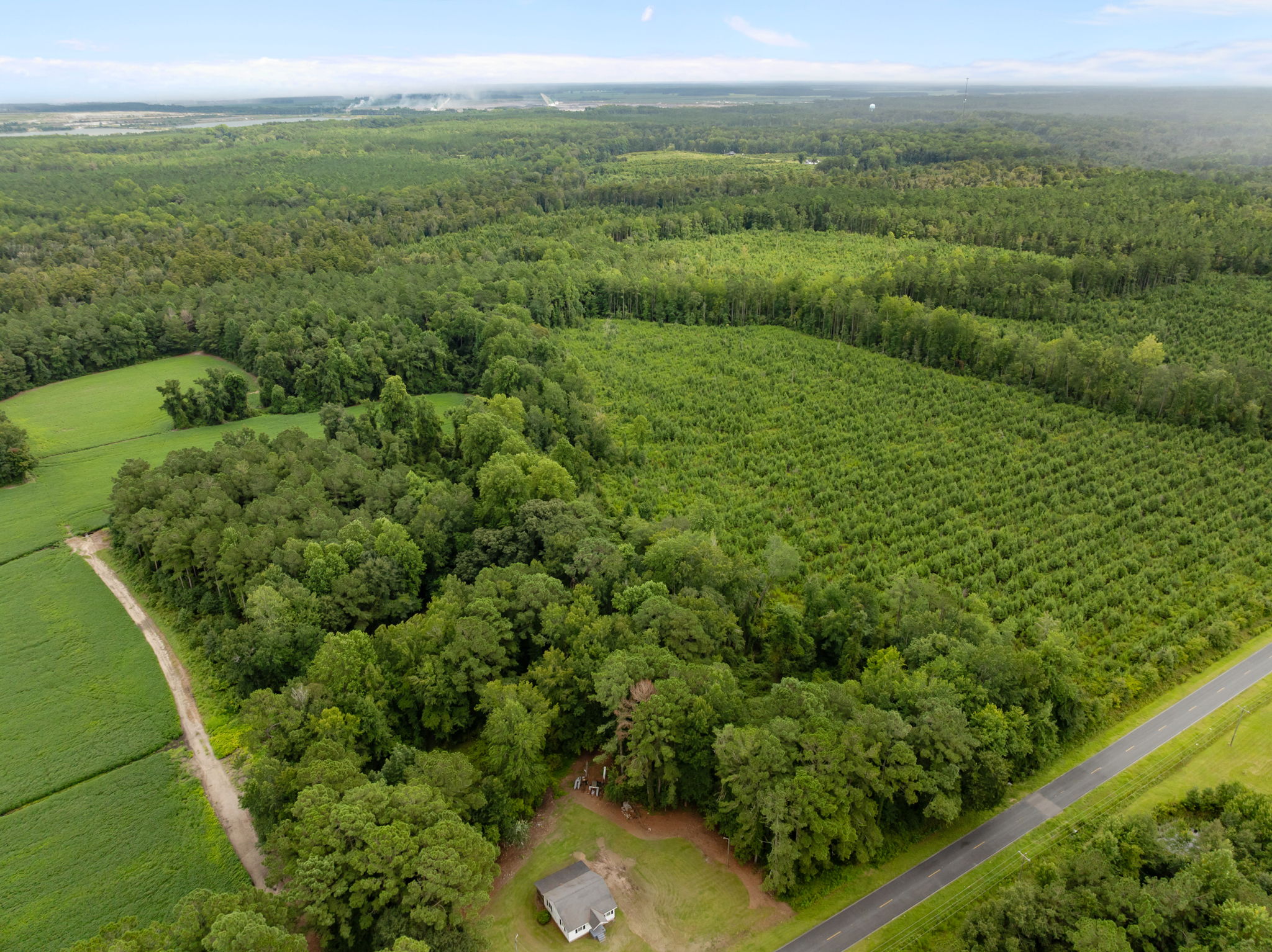 305 Acres Farmland & Timber with Hunting in NC