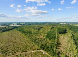 470-AC Prime Hunting Land for Sale in Pitt County, NC