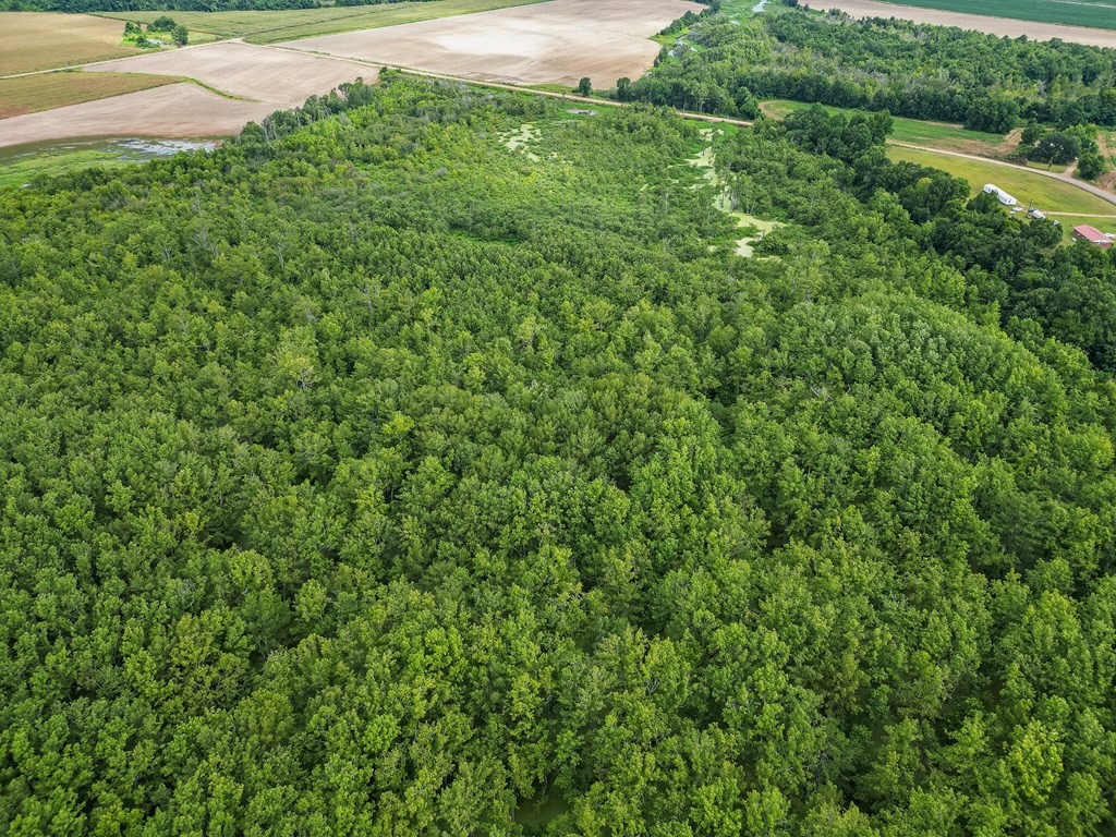 Tchula MS Delta 97 Acres
