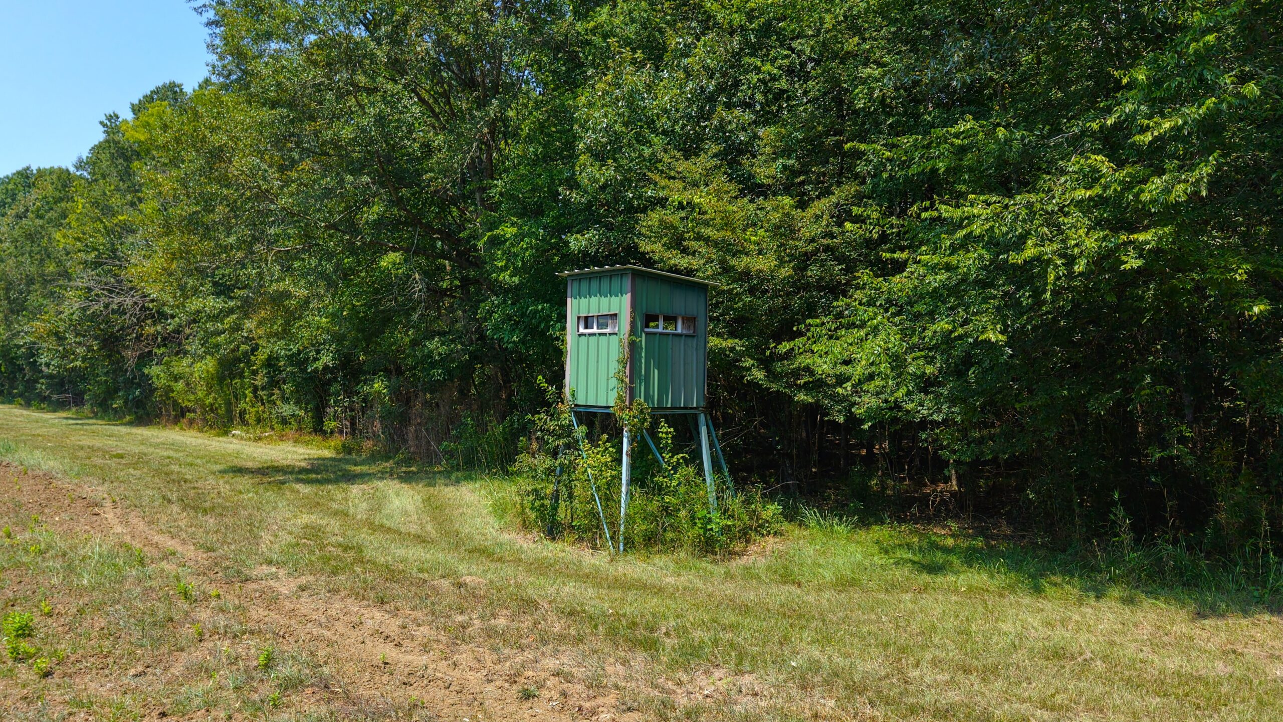 210 Acre Turn-Key Recreational Property for Sale in Dayton, Alabama