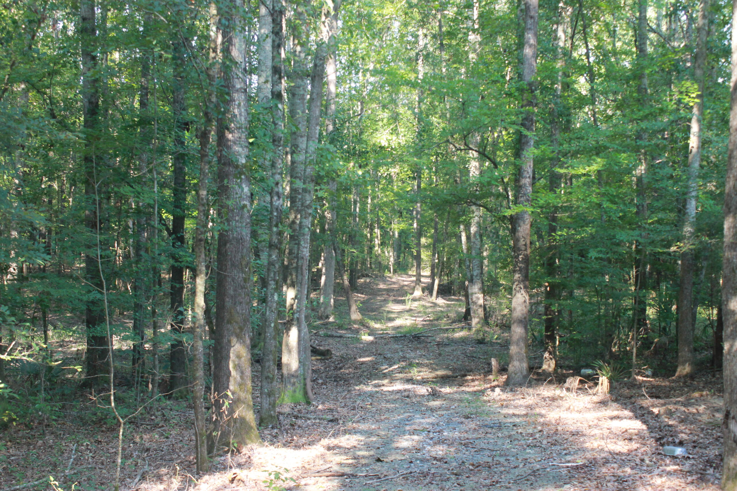 210 Acre Turn-Key Recreational Property for Sale in Dayton, Alabama