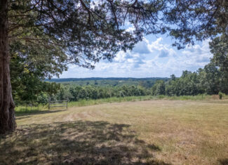 Country Home and 68 +/- Acres in Glencoe, Arkansas