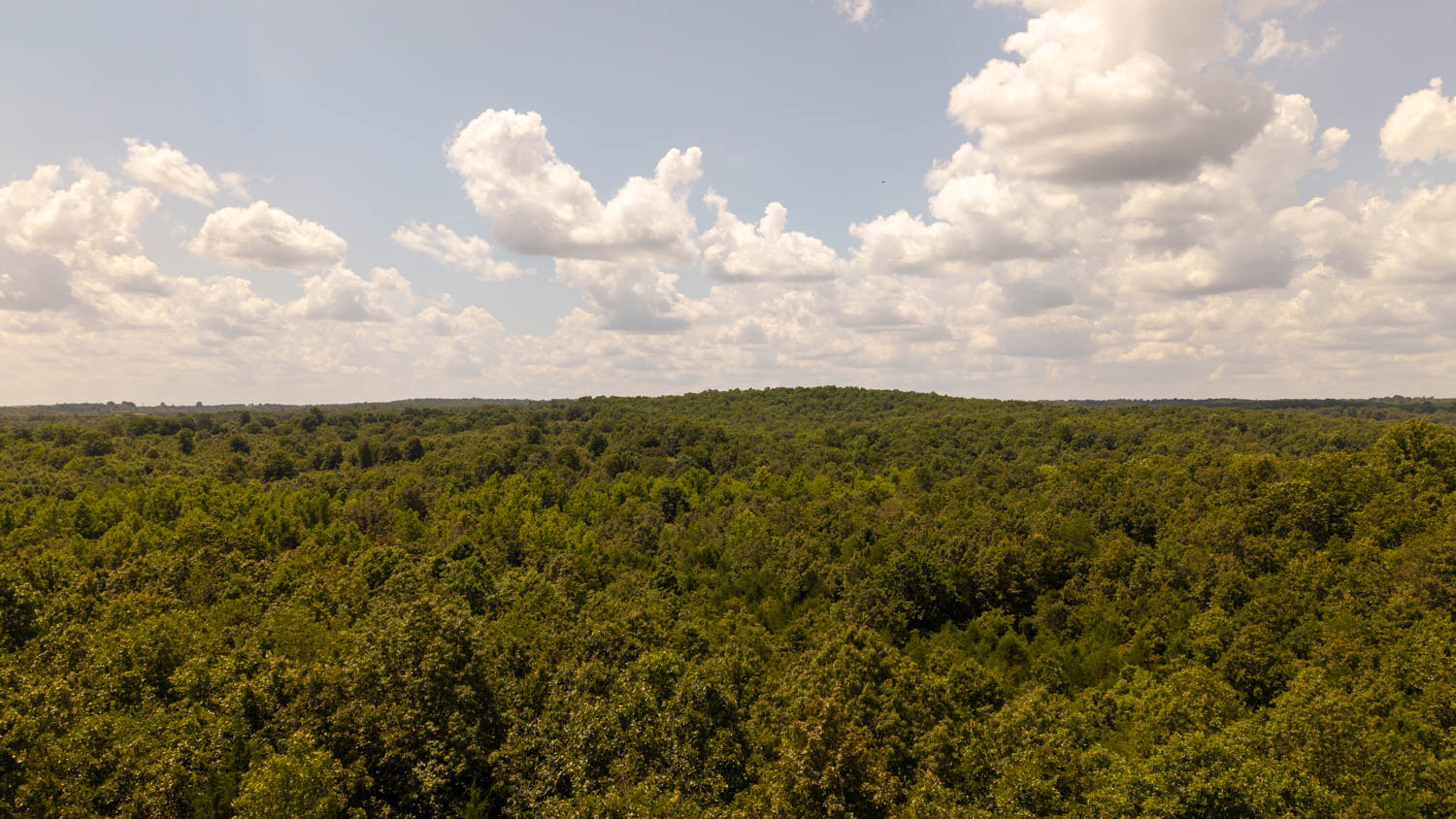Country Home and 68 +/- Acres in Glencoe, Arkansas