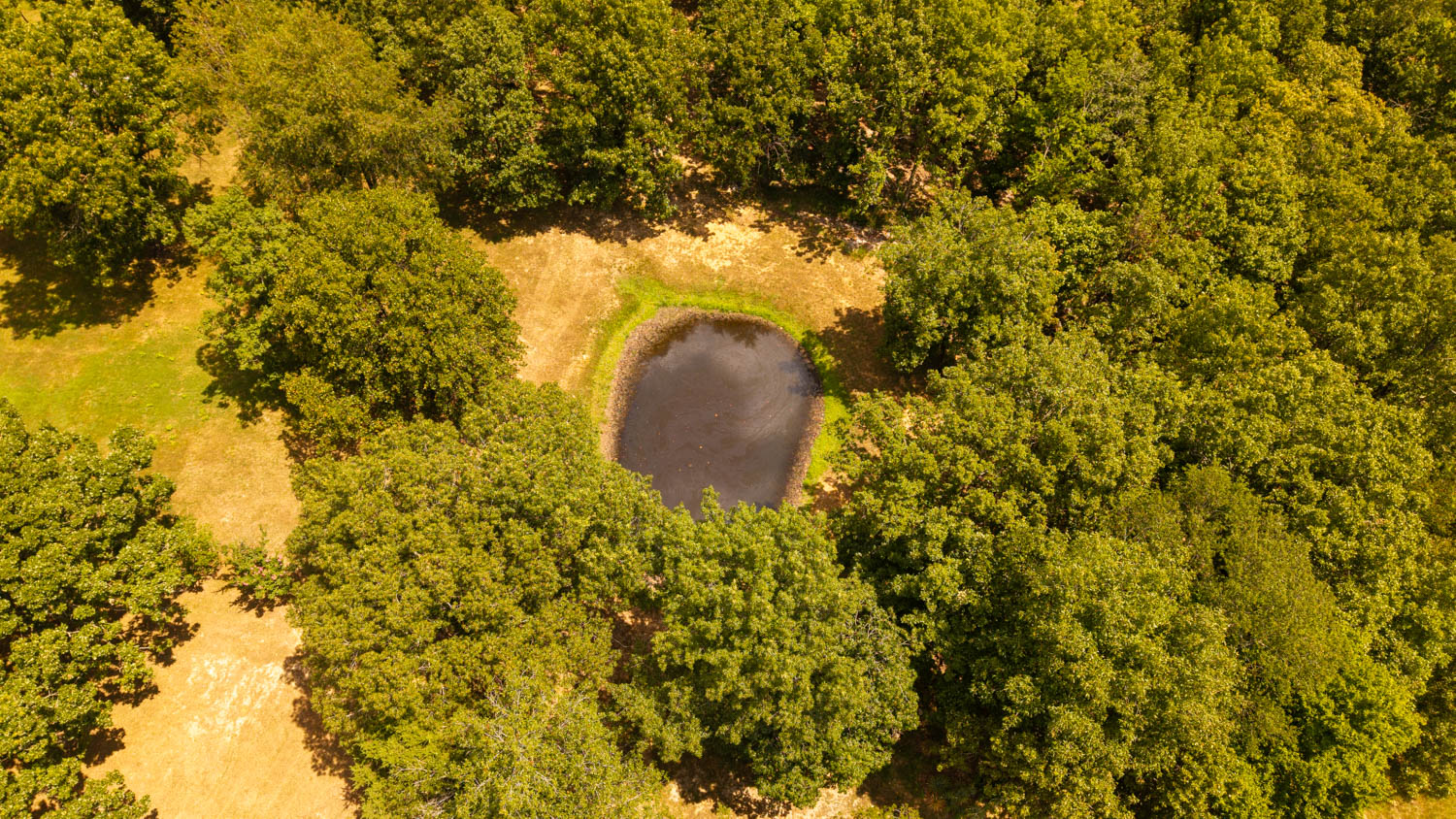 Country Home and 68 +/- Acres in Glencoe, Arkansas