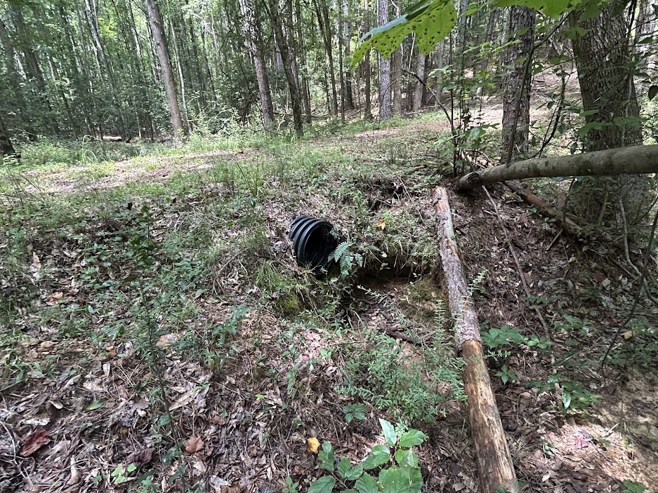 42 Acres in Autauga County – Secluded, Fenced, and Hunting Ready