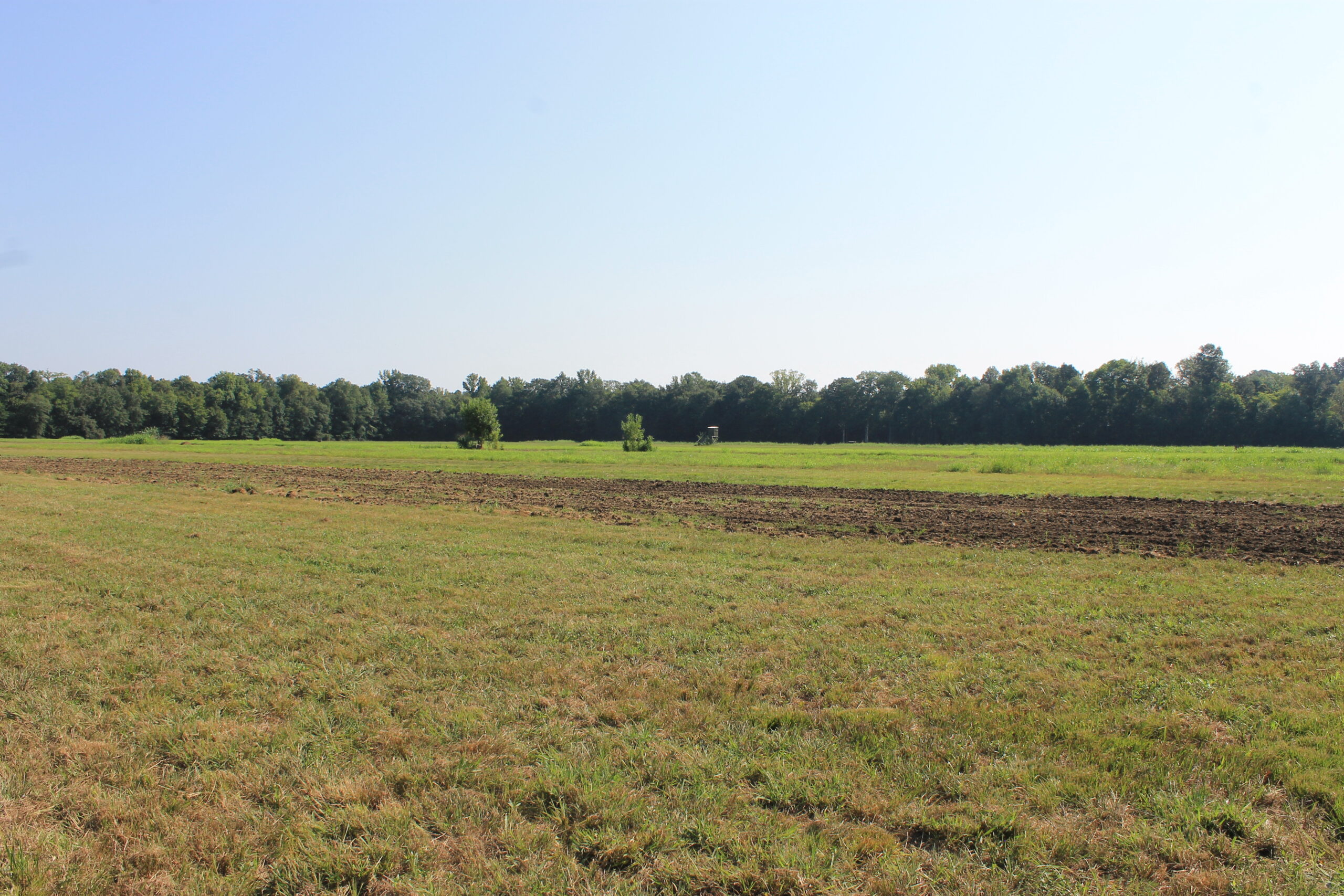 210 Acre Turn-Key Recreational Property for Sale in Dayton, Alabama