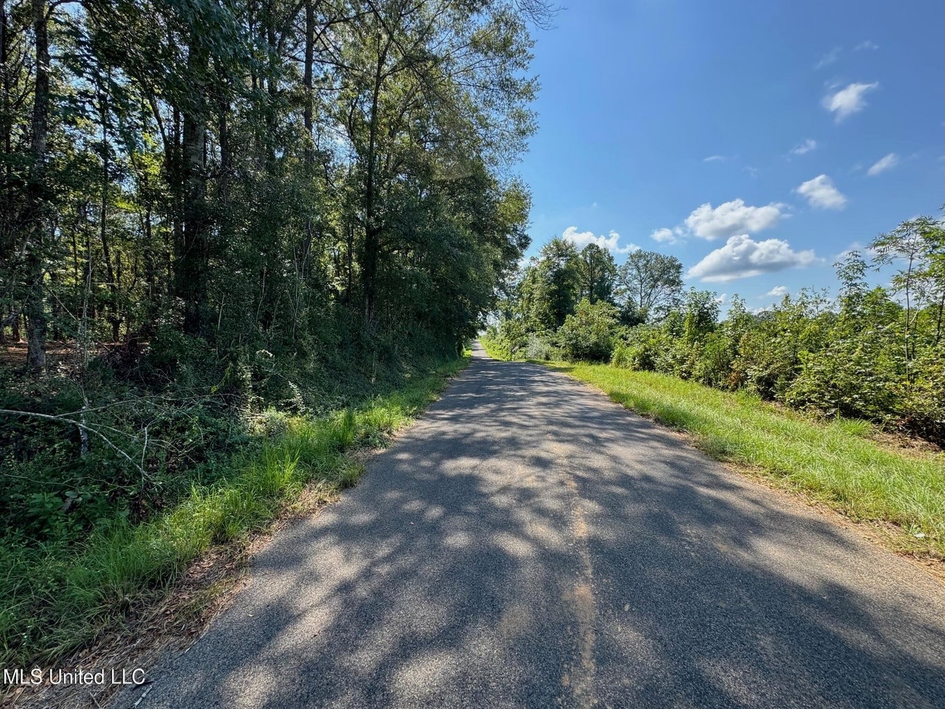 32 +/- Acres Near McComb, MS – Hunting, Timber, Homesite