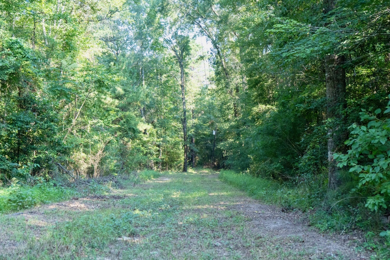 Affordable Multi-Use Recreational Tract