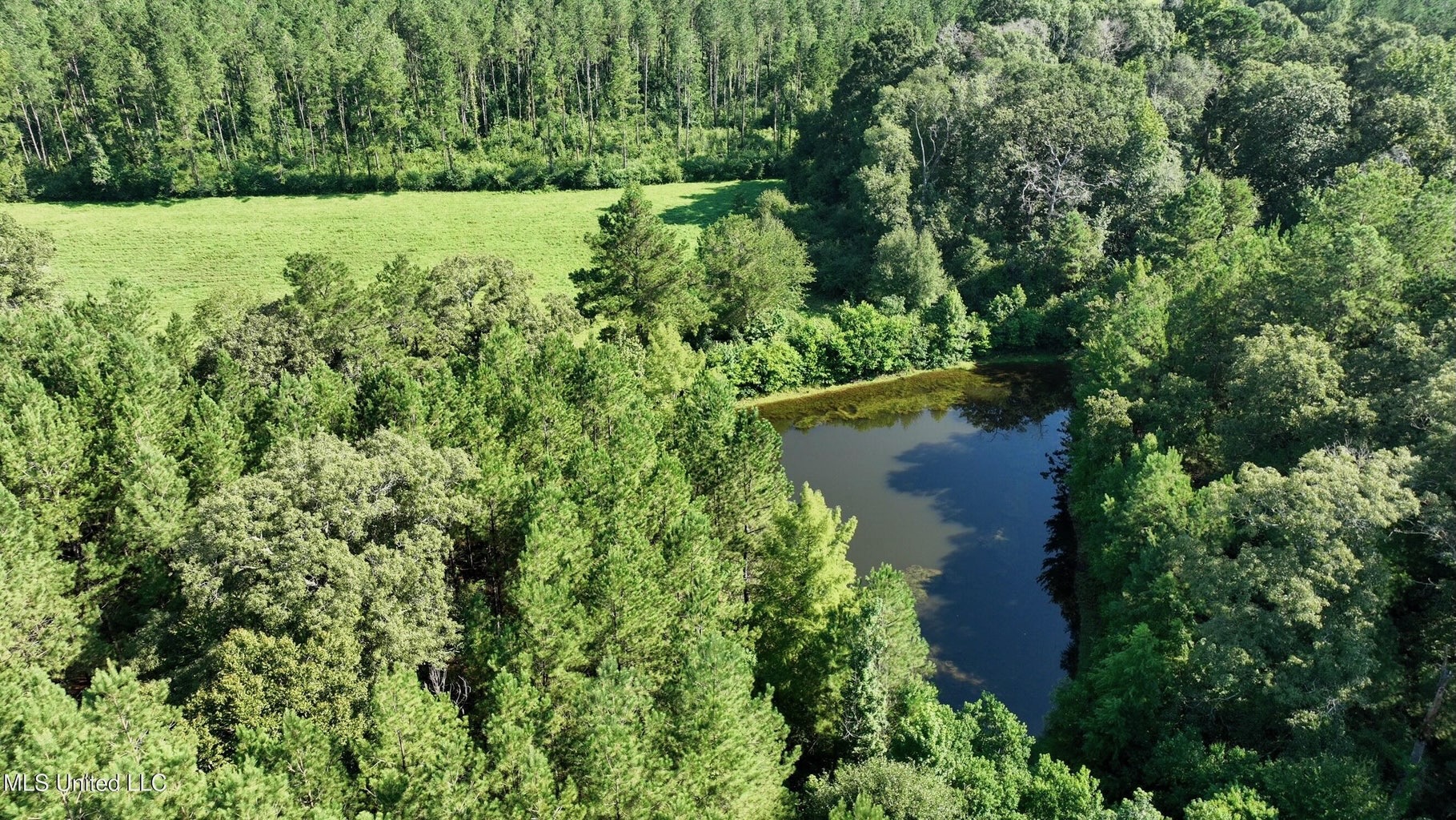 40 Acres with Country Home for Sale in Pike County MS