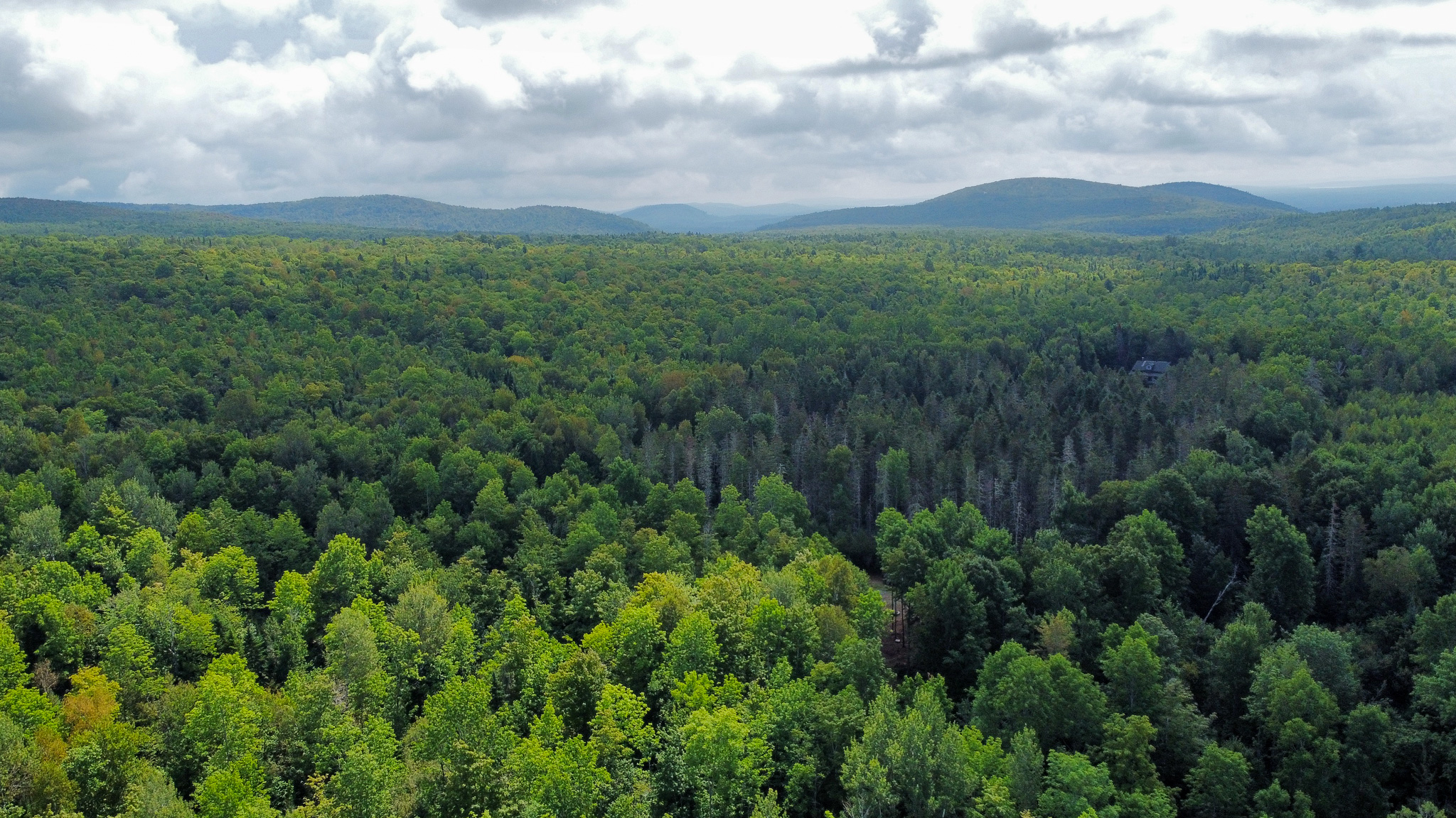 Northern Maine Recreational Land | 44 Acres