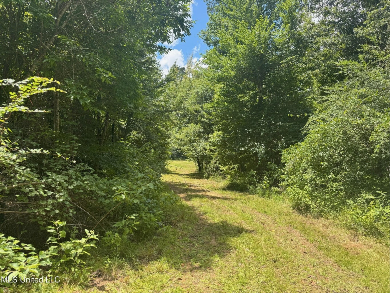 148 Acre Timberland Hunting Homesite Lincoln County, MS