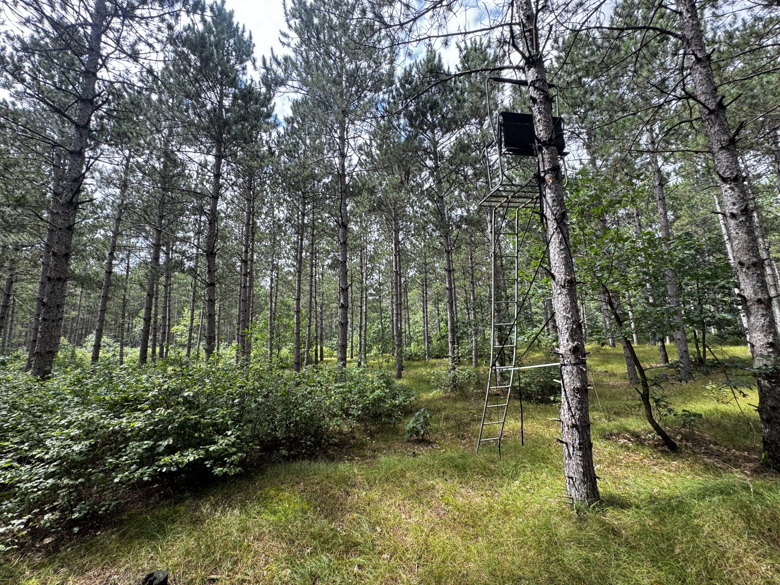 22.35+/- Wooded Acres in Adams County’s Town of Big Flats