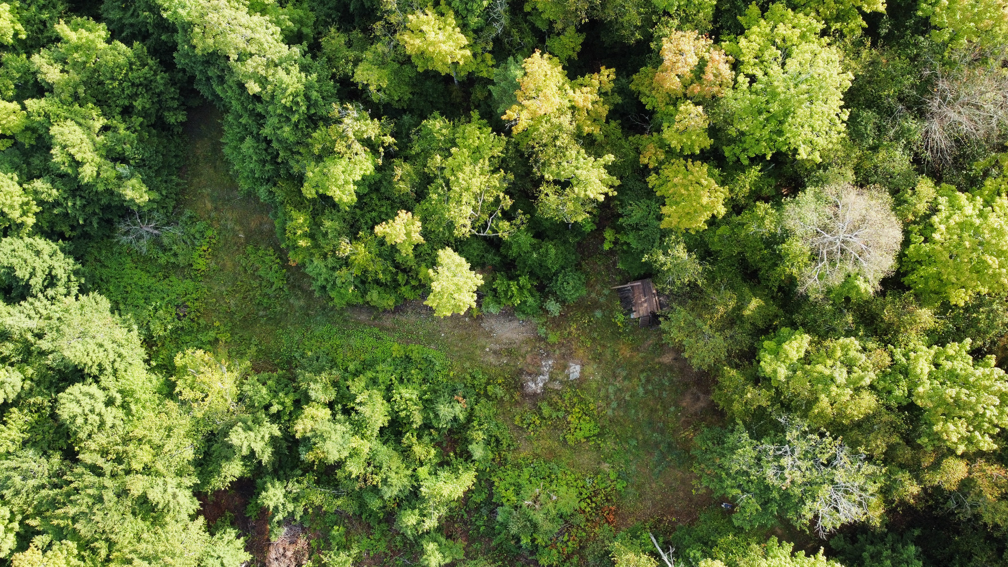 20 Acres with Katahdin Views – Springfield, Maine
