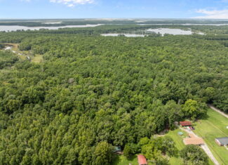 17 Acres Hunting Land with Timber for Sale in Aurora, NC