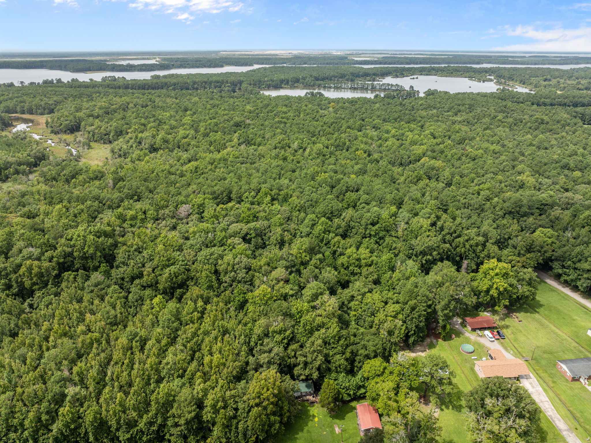 17 Acres Hunting Land with Timber for Sale in Aurora, NC