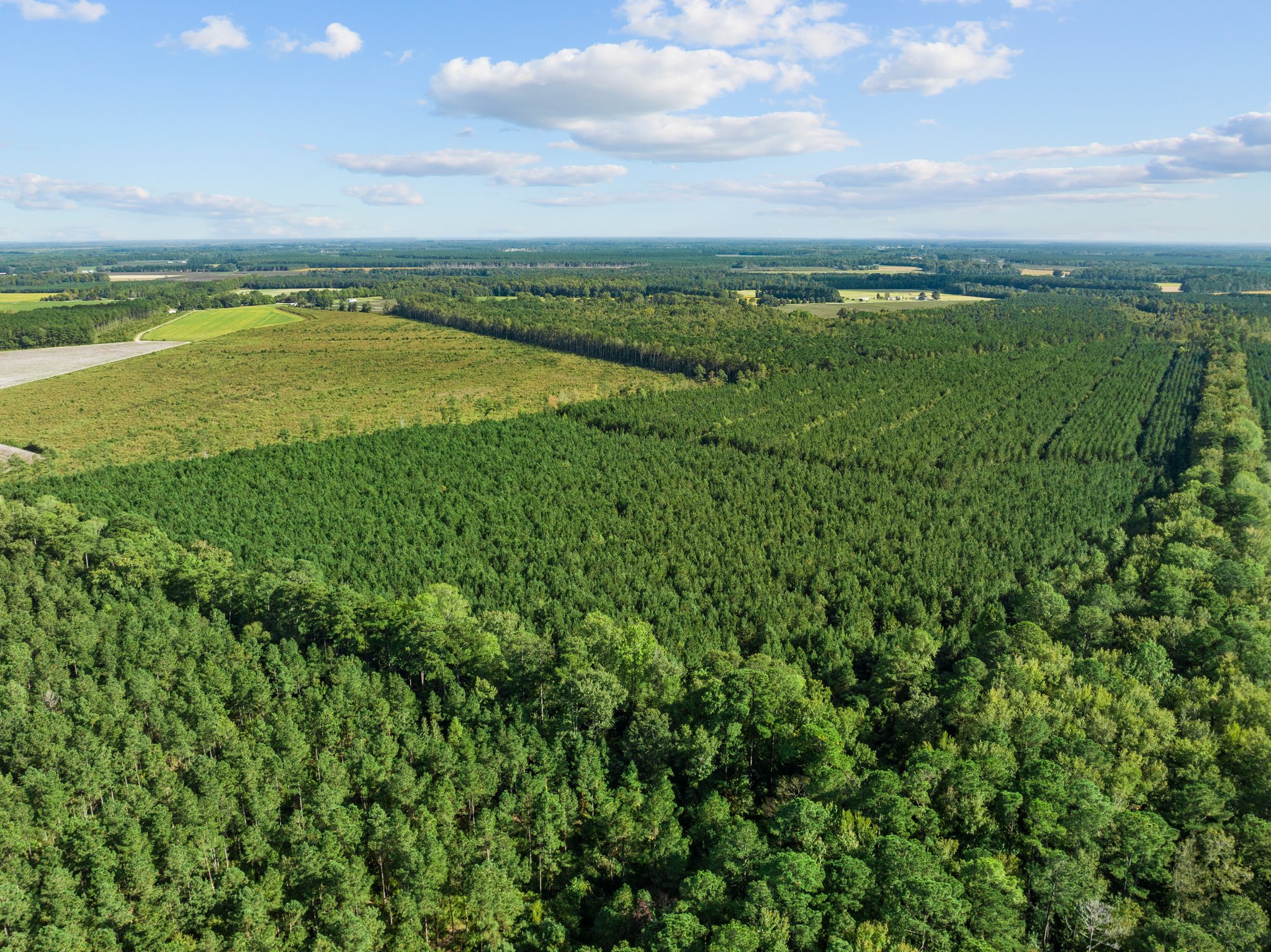 470-AC Prime Hunting Land for Sale in Pitt County, NC
