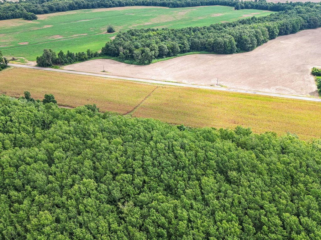 Tchula MS Delta 97 Acres