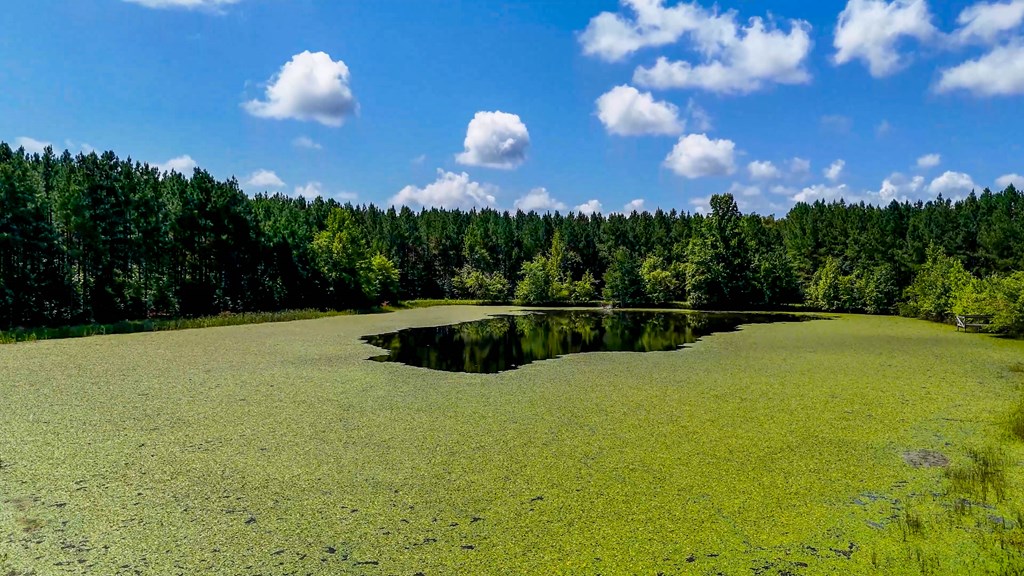 Your Private Hunting & Recreation Paradise Awaits