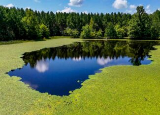 Your Private Hunting & Recreation Paradise Awaits