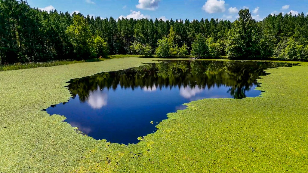 Your Private Hunting & Recreation Paradise Awaits