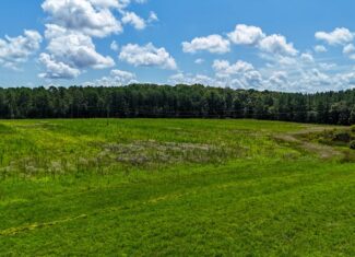 Prime Hunting Ground Meets Agricultural Potential