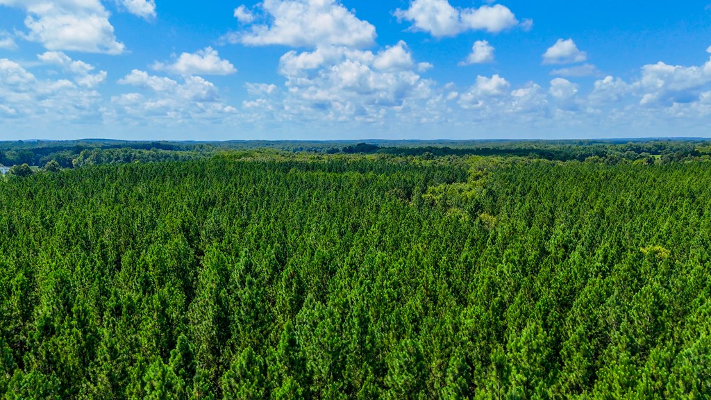 Prime Hunting Ground Meets Agricultural Potential