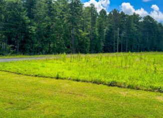 Prime Hunting Ground Meets Agricultural Potential