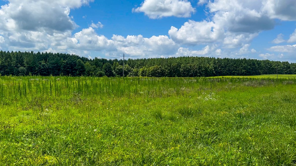 Prime Hunting Ground Meets Agricultural Potential