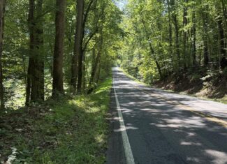 Hunter’s Paradise in Albemarle County – 24± Acres of Prime Timberland