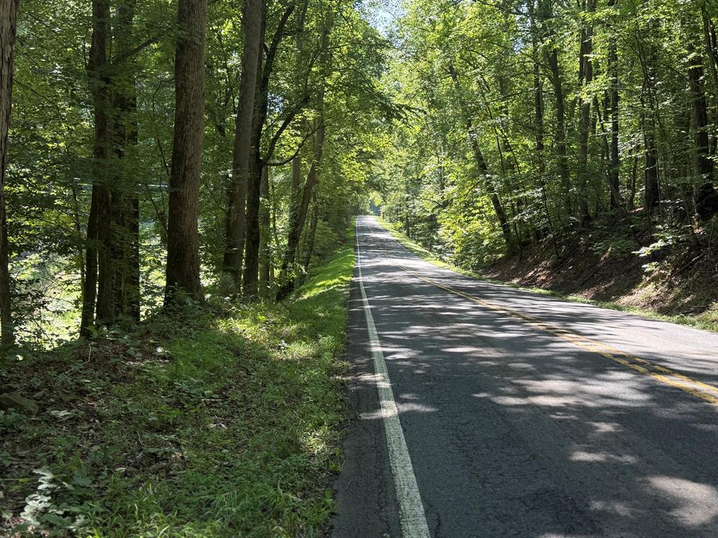 Hunter’s Paradise in Albemarle County – 24± Acres of Prime Timberland