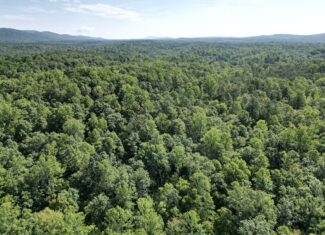 Hunter’s Paradise in Albemarle County – 24± Acres of Prime Timberland
