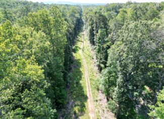 Hunter’s Paradise in Albemarle County – 24± Acres of Prime Timberland