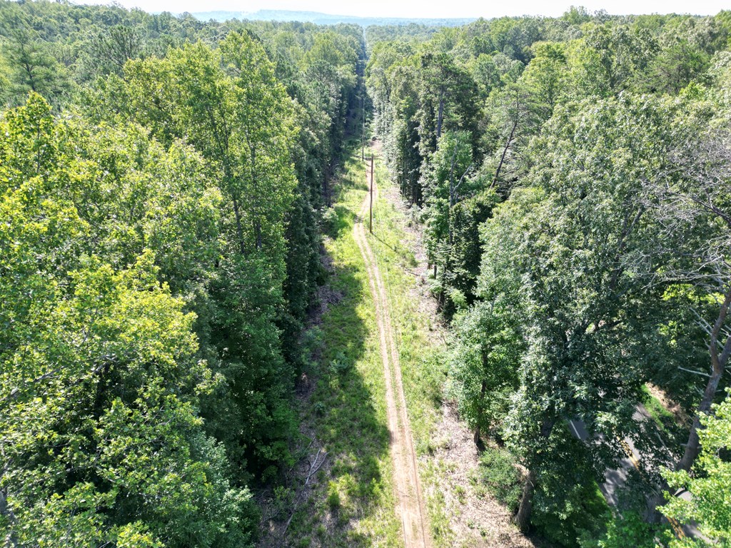 Hunter’s Paradise in Albemarle County – 24± Acres of Prime Timberland