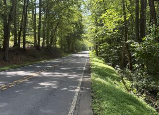 20+ Acres with Wildlife, Woods & Gentle Terrain