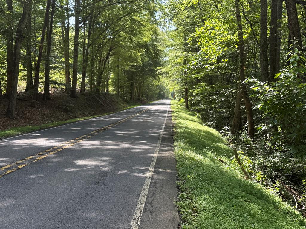 20+ Acres with Wildlife, Woods & Gentle Terrain