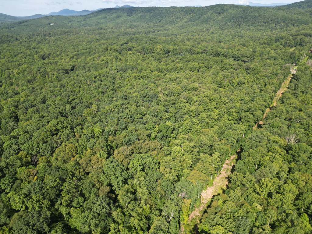 20+ Acres with Wildlife, Woods & Gentle Terrain