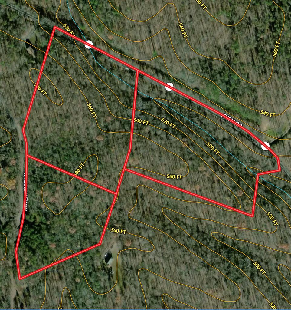 20+ Acres with Wildlife, Woods & Gentle Terrain