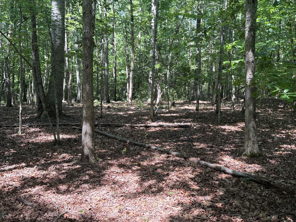 20+ Acres with Wildlife, Woods & Gentle Terrain