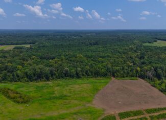 210 Acre Turn-Key Recreational Property for Sale in Dayton, Alabama
