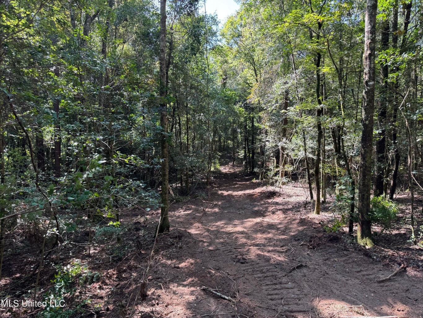 32 +/- Acres Near McComb, MS – Hunting, Timber, Homesite