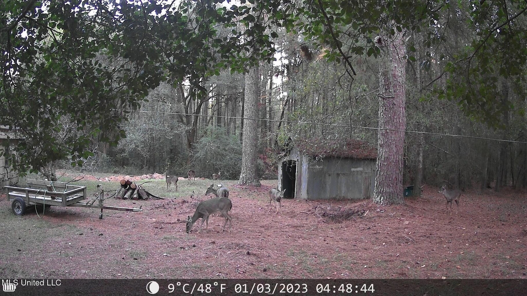 38 acres in Mississippi Near Louisiana State Line