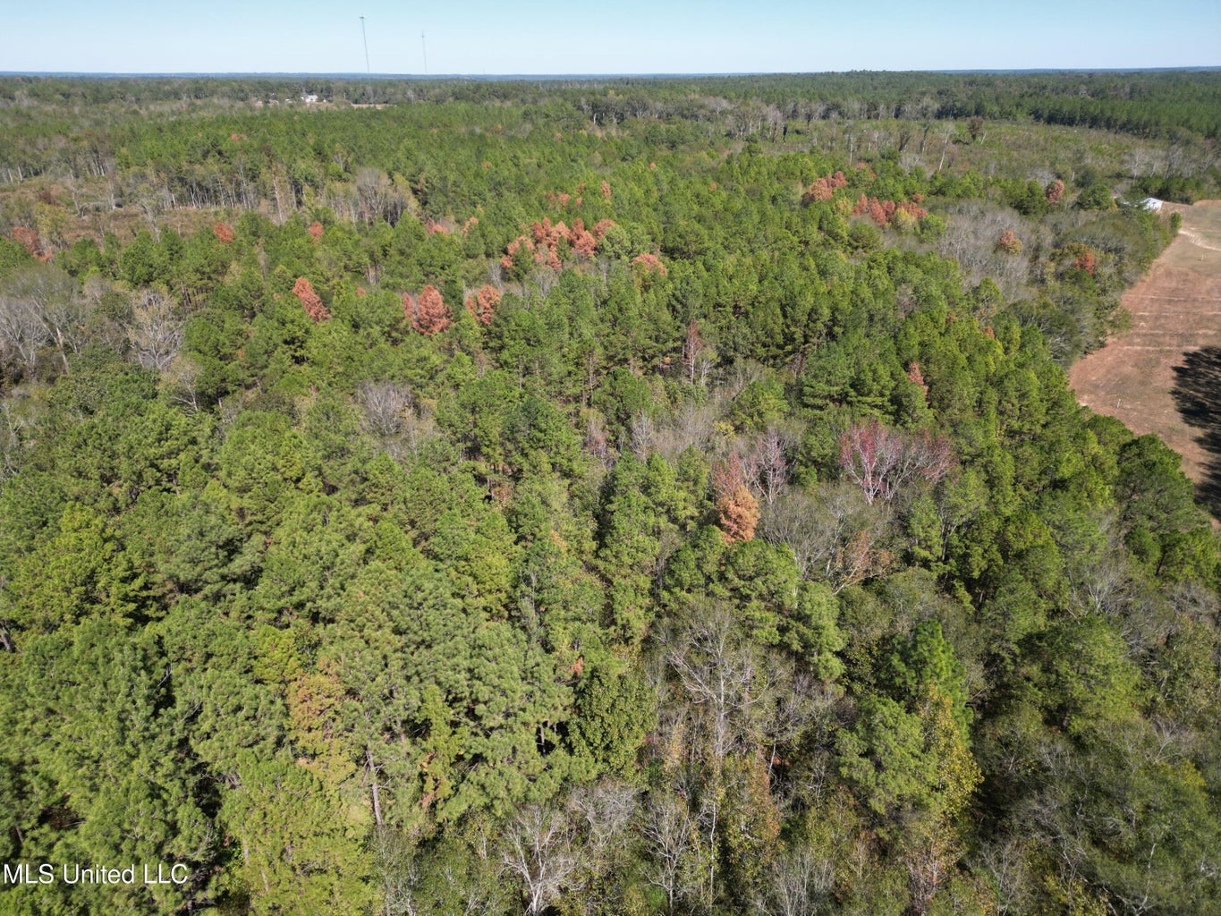51.52 Acres Land for Sale Near McComb MS