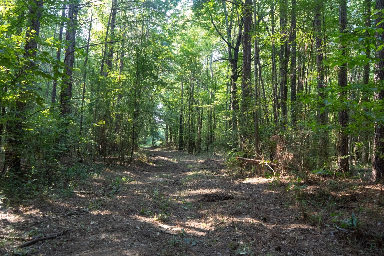 Affordable Multi-Use Recreational Tract