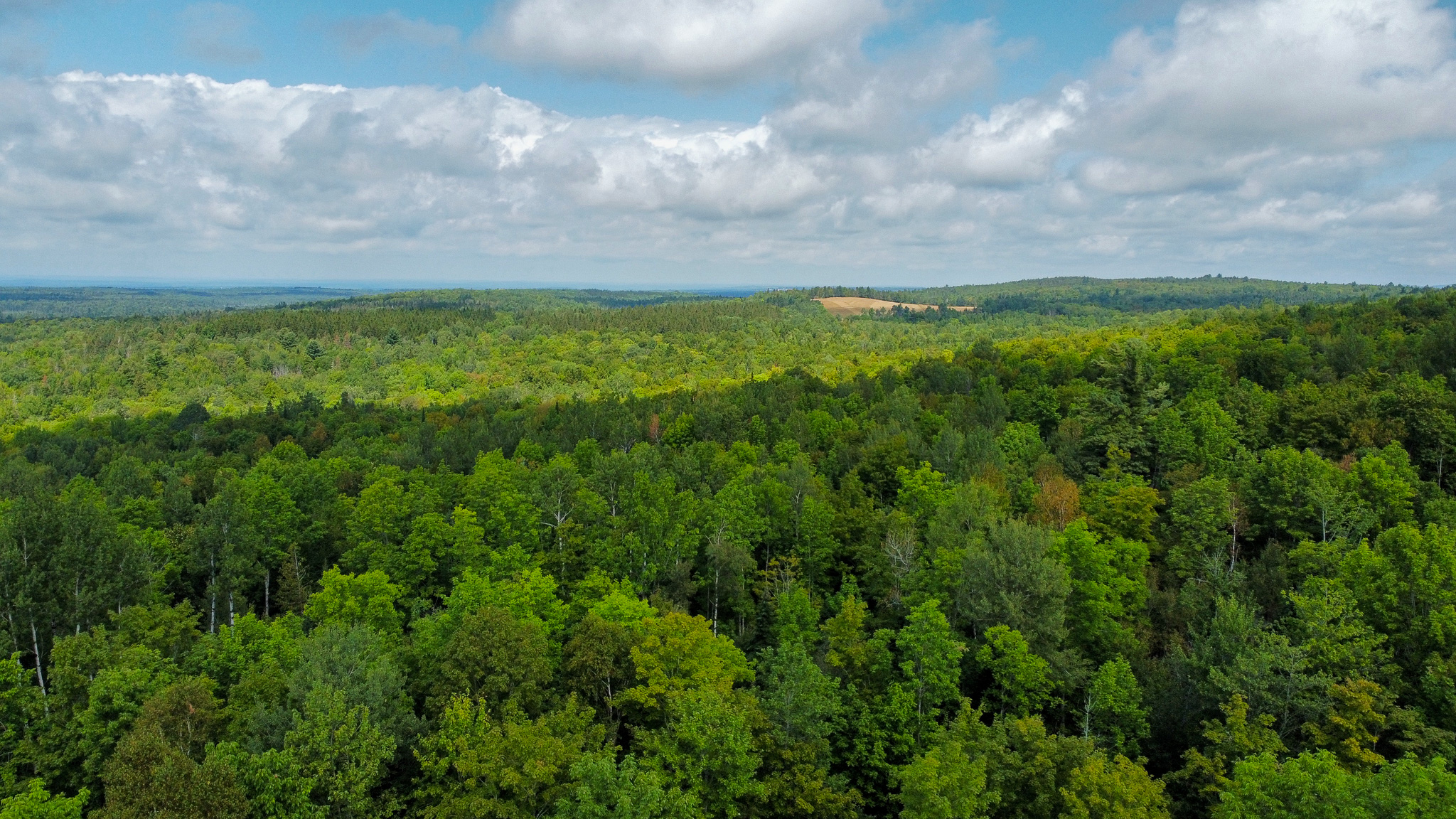 Northern Maine Recreational Land | 44 Acres
