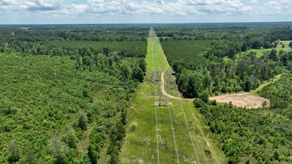 345+- Acres on Bogue Chitto River Summit MS