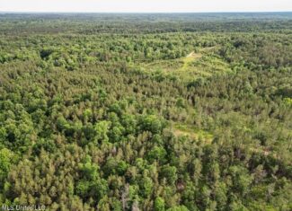 Catahoula Parish 290 Acres Hunting and Income Property