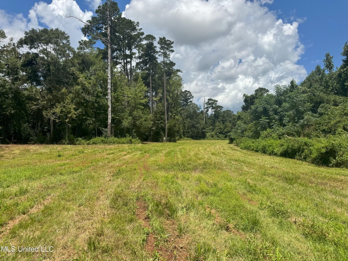 148 Acre Timberland Hunting Homesite Lincoln County, MS