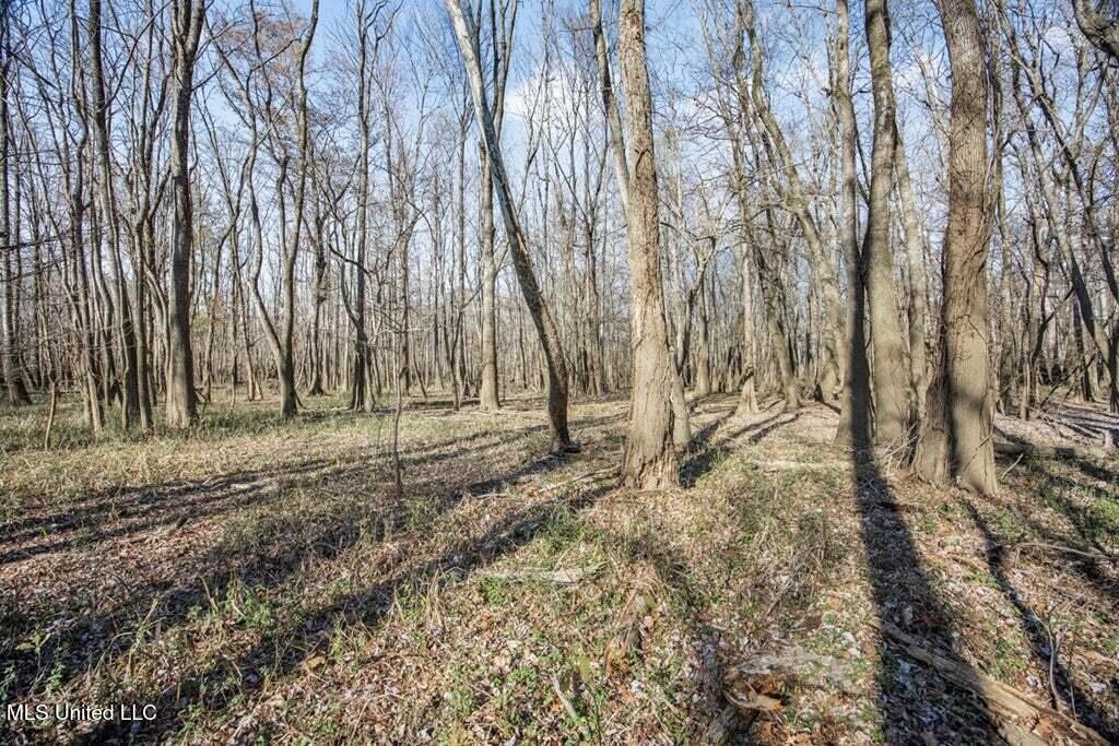 Final Flyway – Jefferson County MS Duck Hunting Land