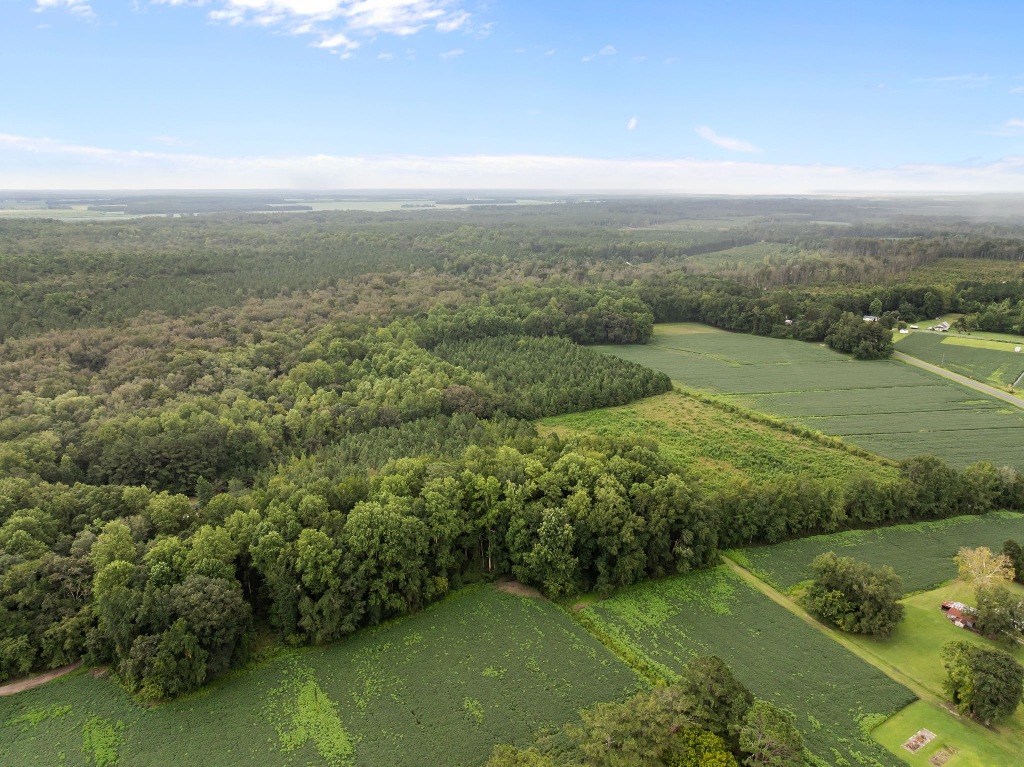 59 Acres of Farmland & Timberland in Rural NC – Great Hunting